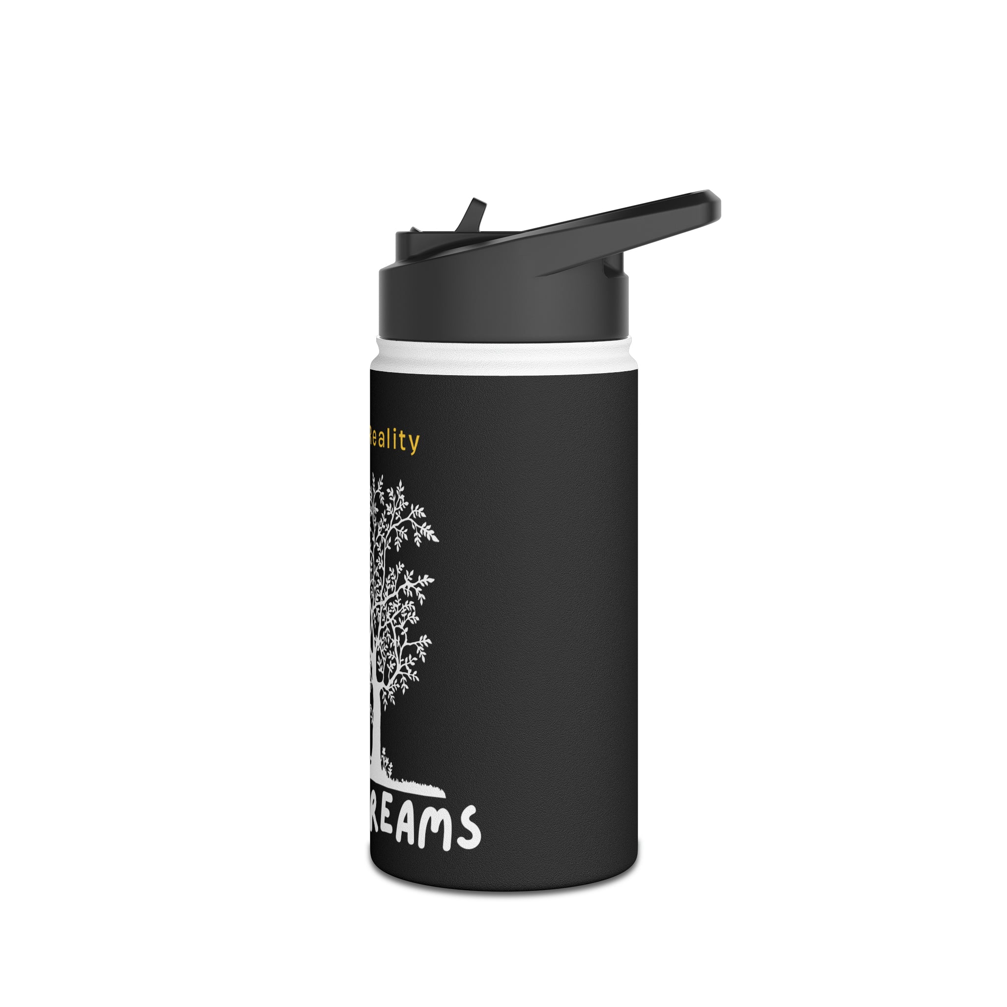 Stainless Steel Water Bottle, Standard Lid